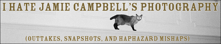 i hate jamie campbell's photography.